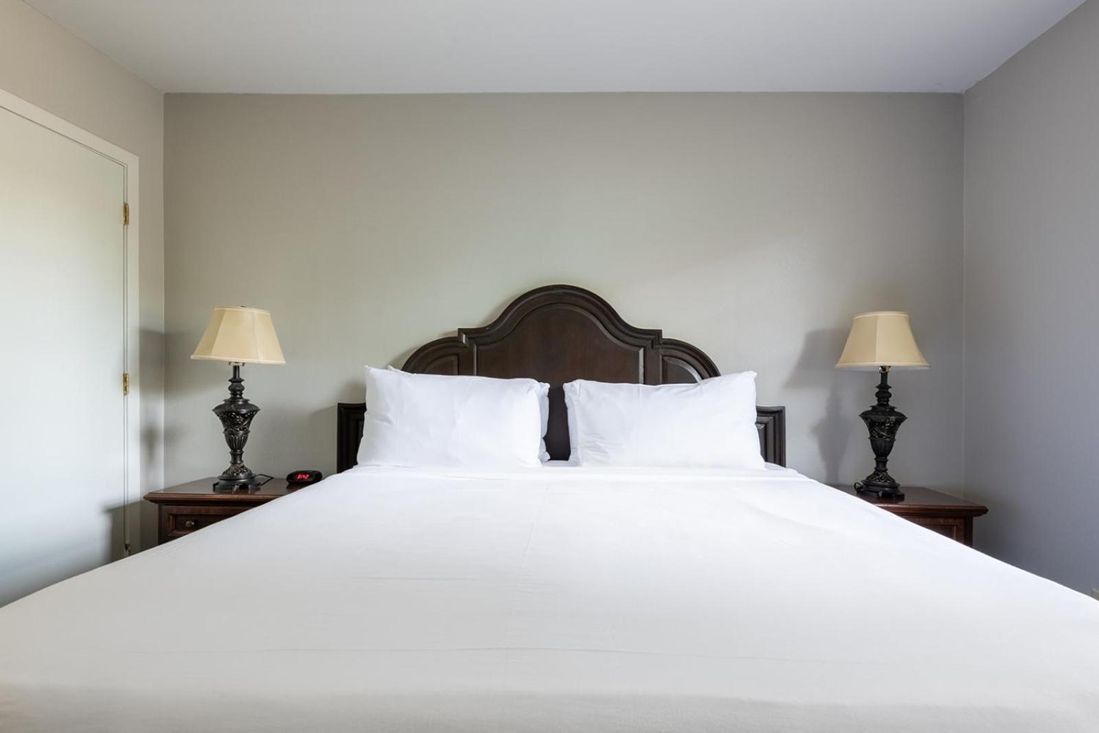 French Quarter Suites Hotel Nowy Orlean Zewnętrze zdjęcie