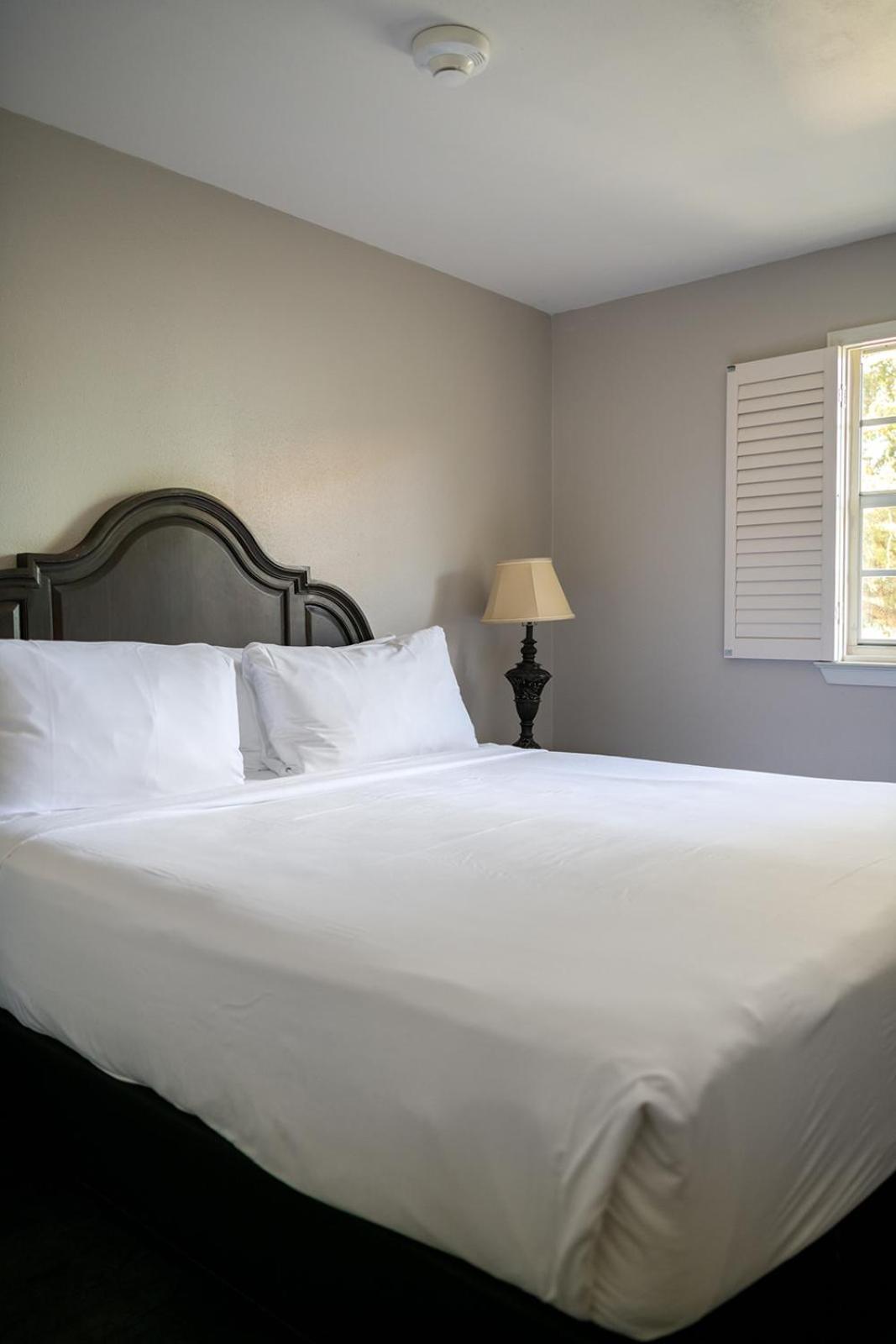 French Quarter Suites Hotel Nowy Orlean Zewnętrze zdjęcie